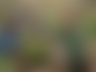 Spring Plant Care Tips: Help Your Garden Thrive This Season