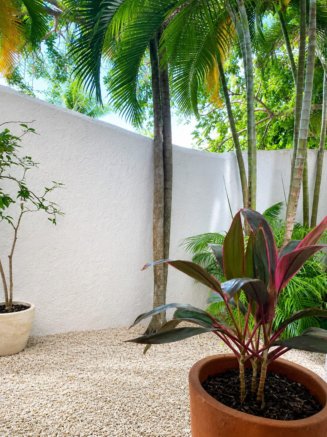 Departamento en renta | La Concha Playacar Playa del Carmen México