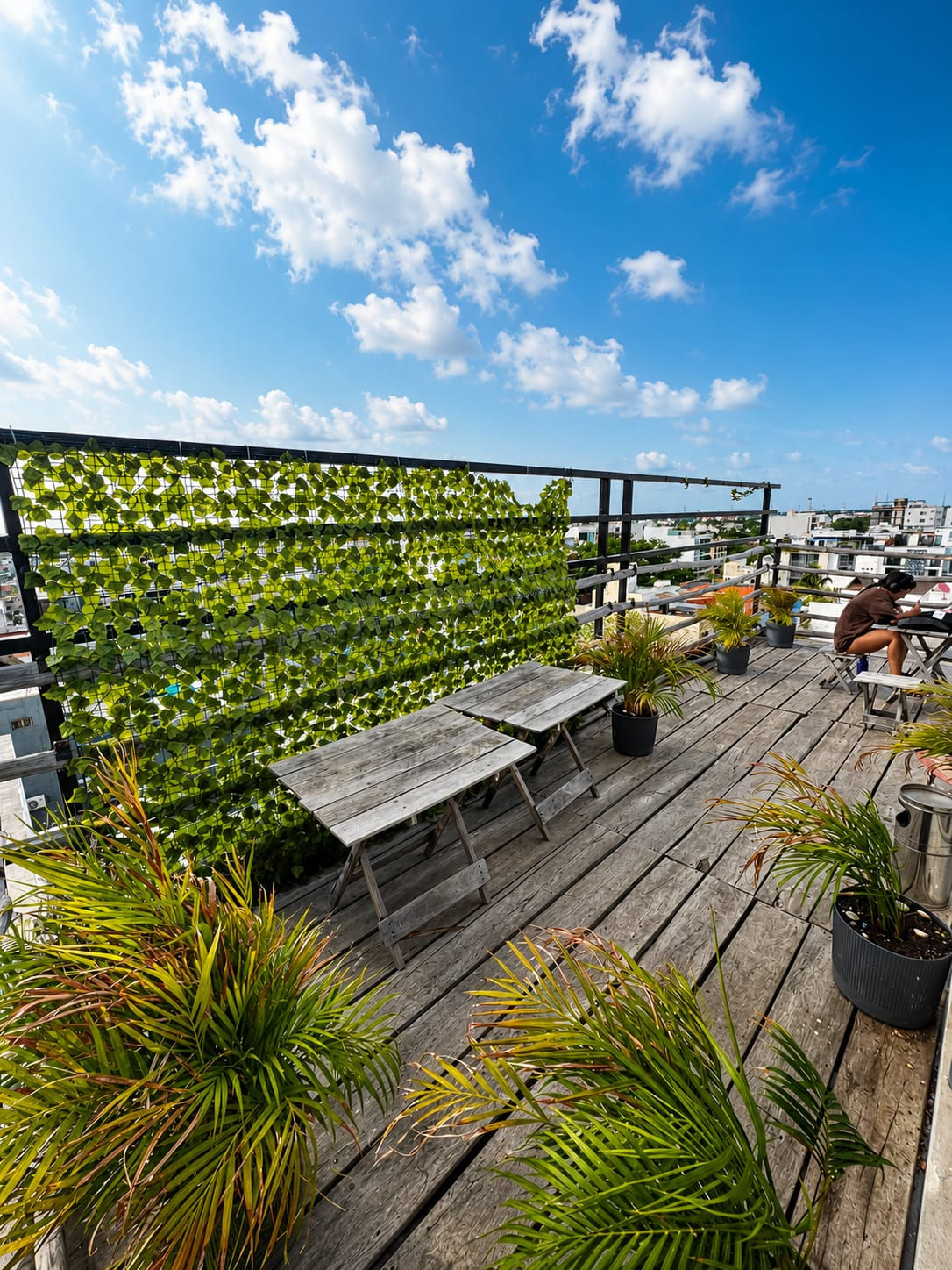 Estudios en renta | Olamar Playa del Carmen México