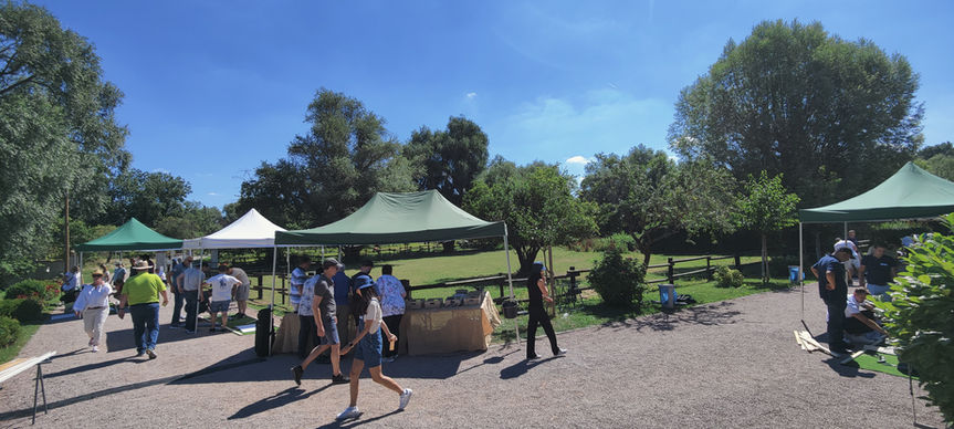 Selfmade_Minigolf_Nonnenau (2).jpg