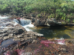 Caño Cristales, PNN La Macarena.