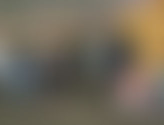 Intervention du 04.04 avec Hélène