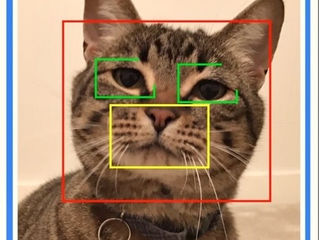 Microsoft usa reconhecimento facial para abrir portinholas dos pets