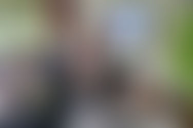 Warsztaty dziennikarskie, część fotograficzna