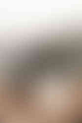 A couple in their wedding attire in Acadia National Park