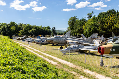 Overzichtsfoto van de collectie van Chateau de Savigny-lès-Beaune