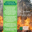 Update to Members on the Spokane Complex Fire Restoration Effort