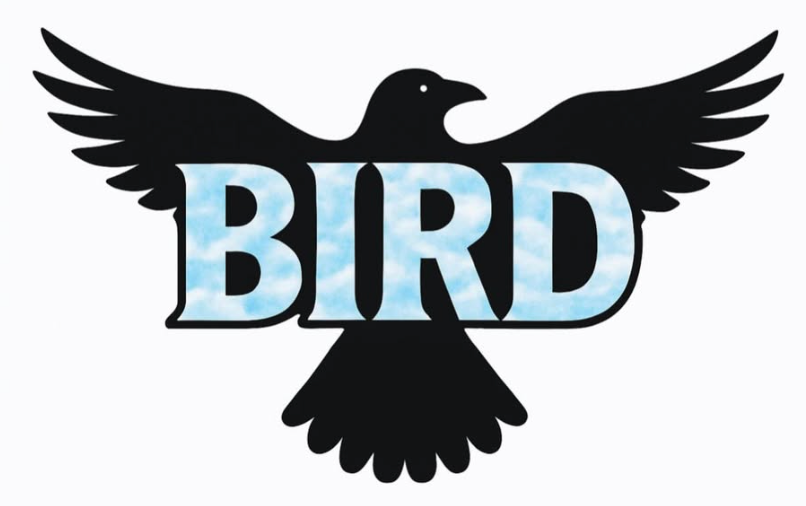 BIRD plus Tin Star | 5-15-26