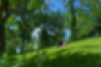 2023-07-02-AbbyAlexEngagement-130.jpg