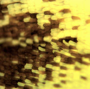 SNAP-113223-0025.jpg