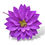Miniatura: Dalia Preservada