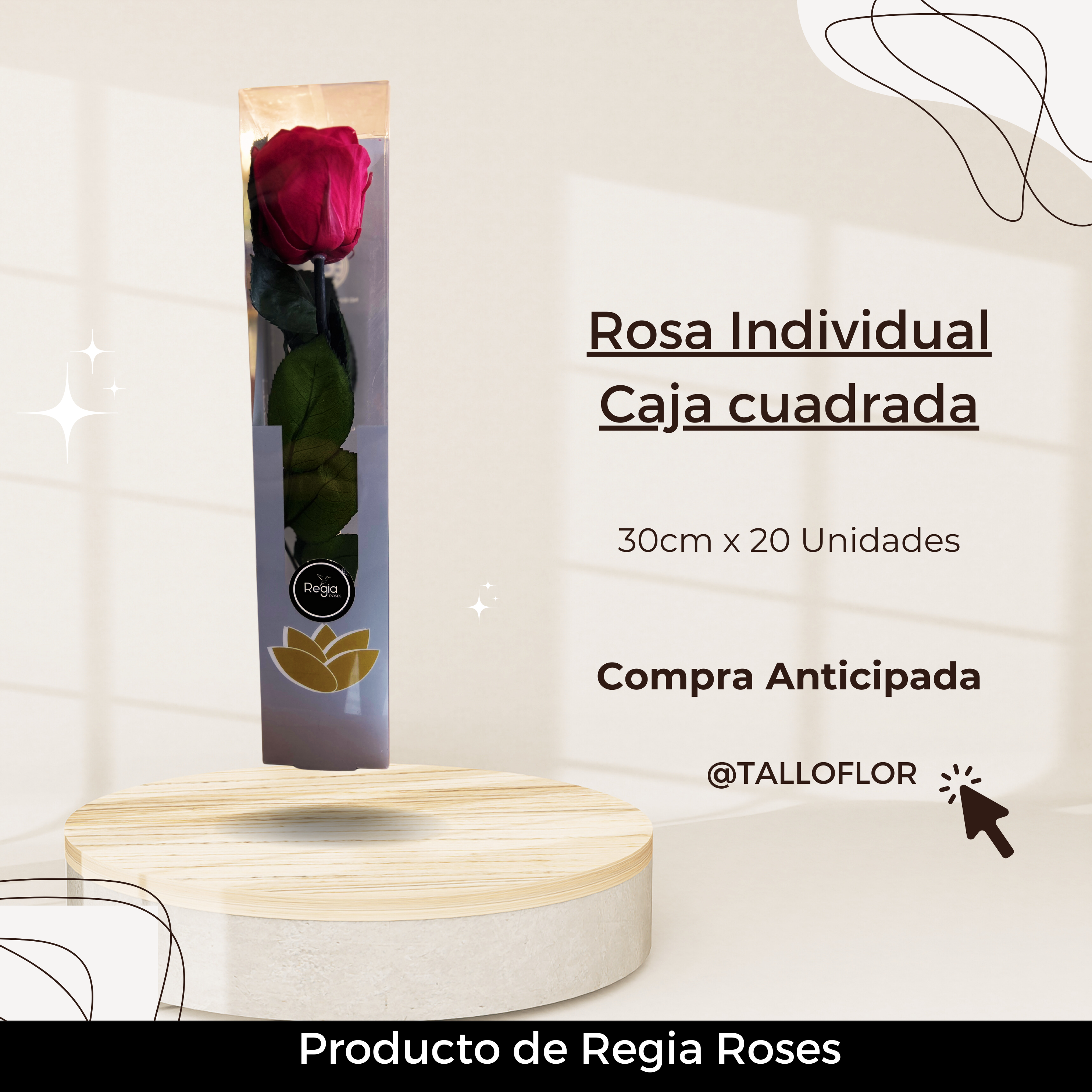 Rosa Preservada Caja cuadrada (35cm)