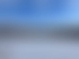 Celebrate Snow at Volo Bog