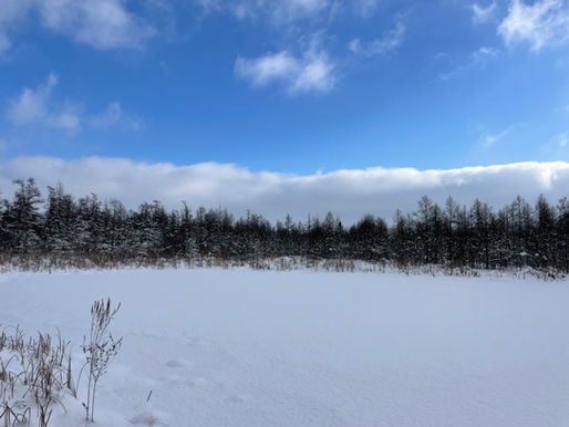Celebrate Snow at Volo Bog