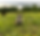 183D033B-ADD2-458A-A2F3-B7973754F35A.PNG
