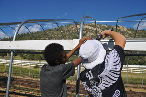 UNADJUSTEDNONRAW_thumb_f8f8