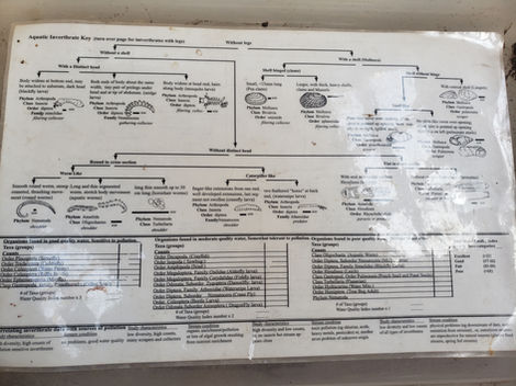 Key used for BMI Water Quality index