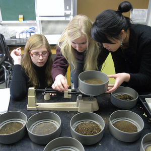 Independent Investigations 