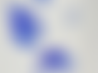 Salon de Peinture de Landivisiau