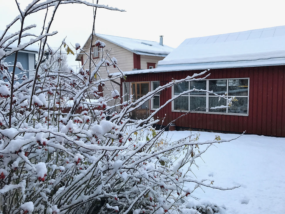 snow house