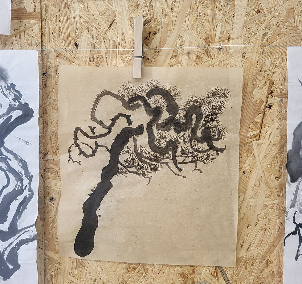 Artist Talk is coming soon: The Solitary Pine, From Observation to Existential Healing