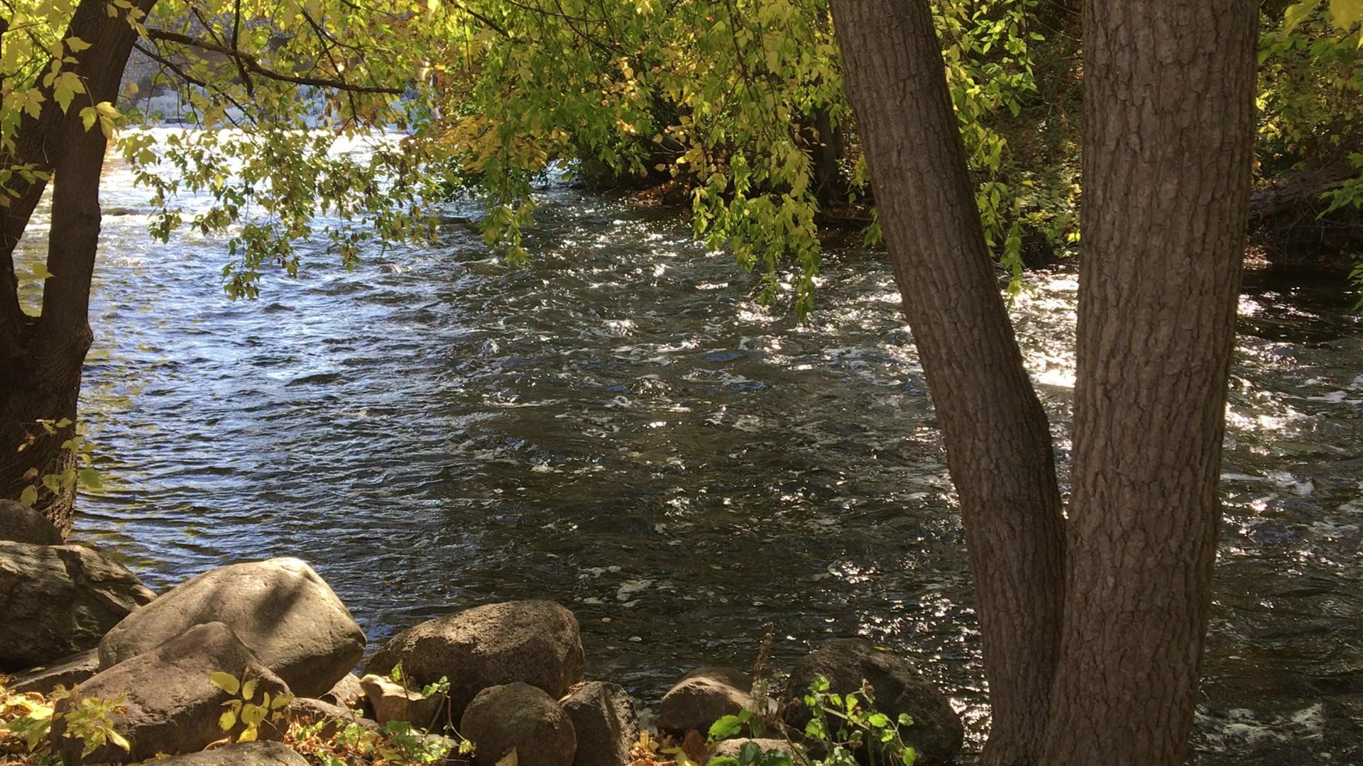 Why Goat Ridge Brewing Company Is Still the Best Reason to Visit New London