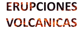 PP-PhotoRoom.png-PhotoRoom.png