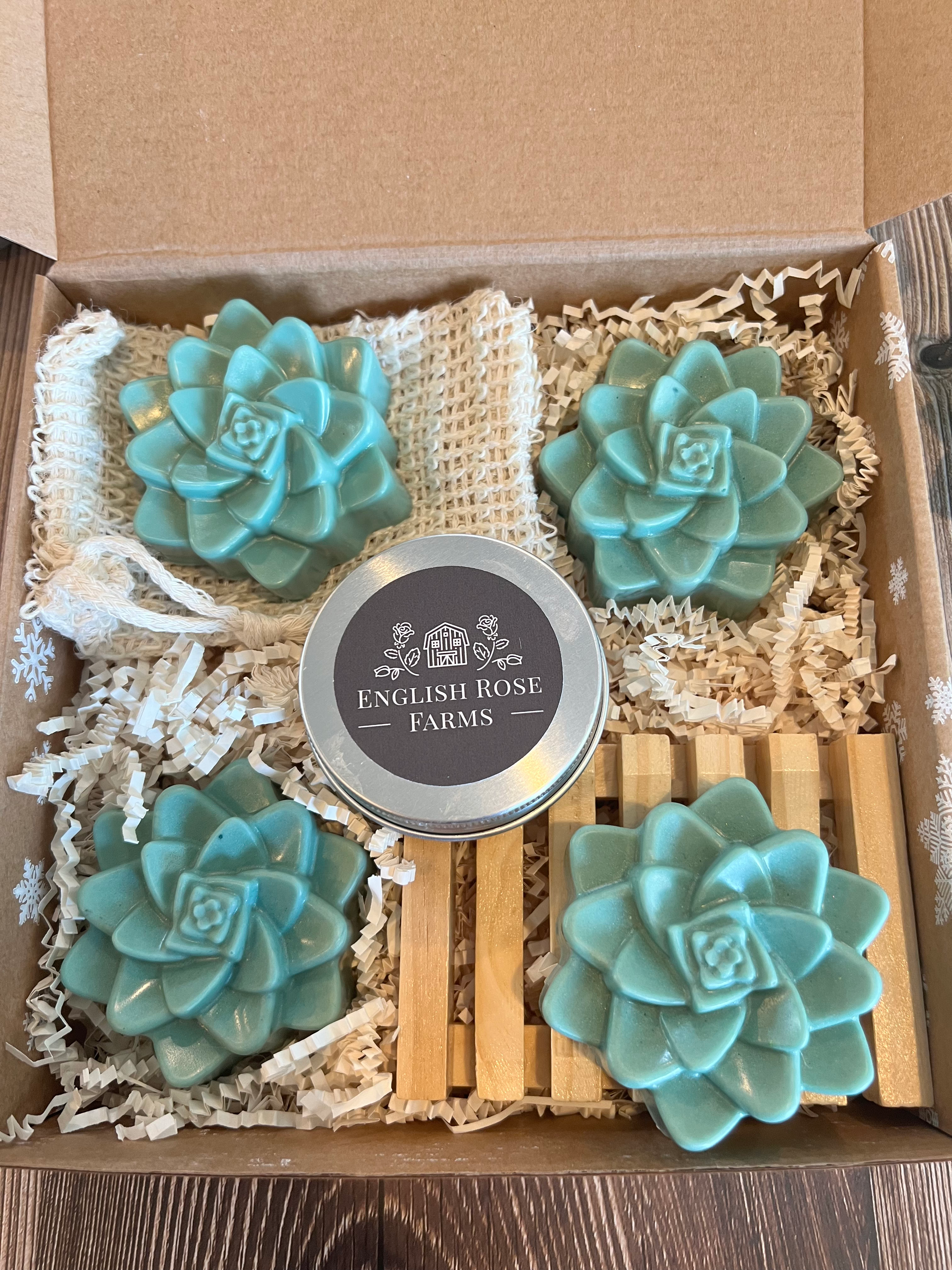 Succulent soap set 