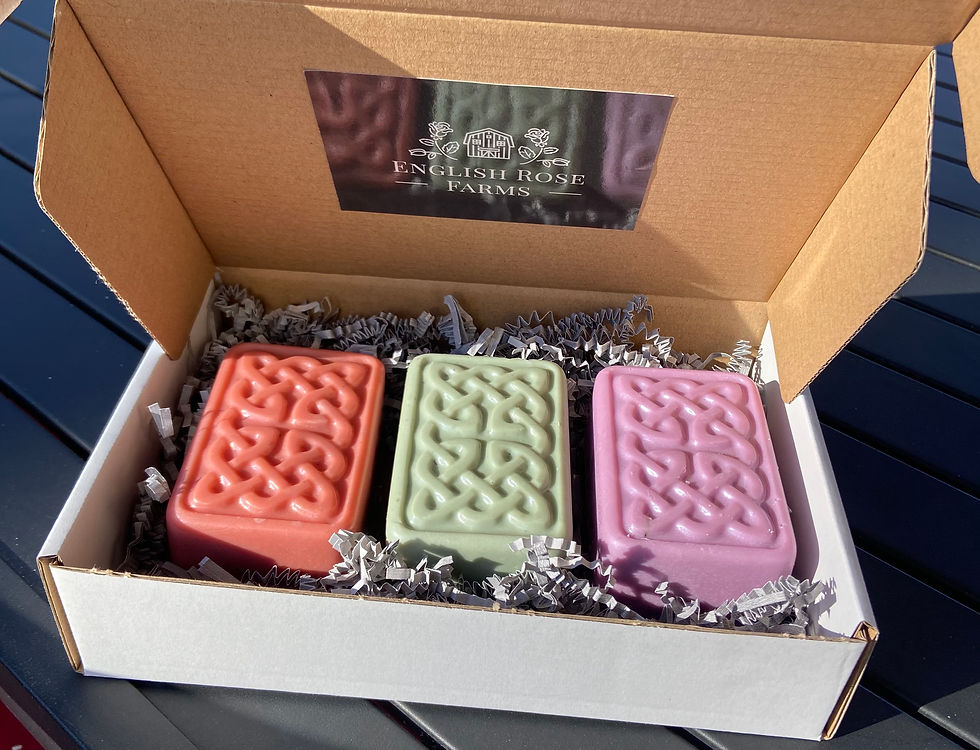 Vegan Celtic Soap Set (3 bars)