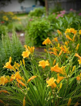 Gardens (6).jpg