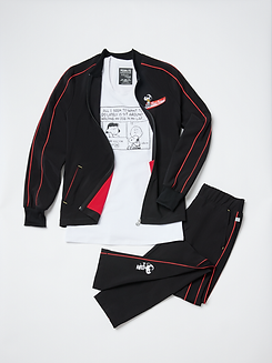 CK361A_BAPS_CK761_PNTB_CK061A_BAPS_CATALOG.png