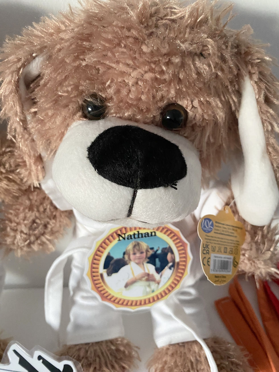 Thumbnail: KARATE JUDO MARTIAL ARTS PERSONALISED TEDDY BEAR PUPPY DOG medal or trophy
