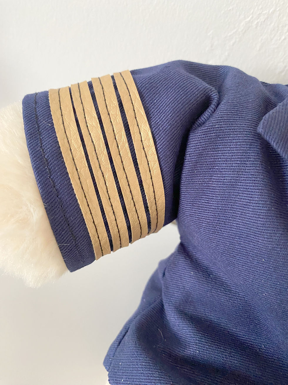 Thumbnail: PILOT GRADUATION PERSONALISED TEDDY BEAR WITH PHOTO MESSAGE ID BADGE