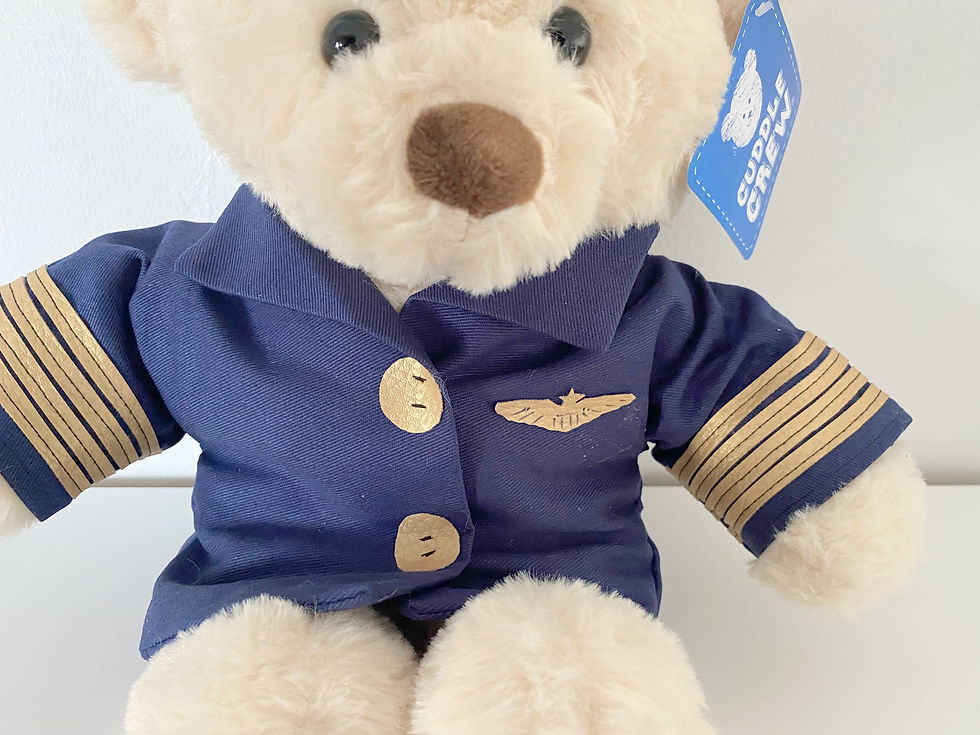 Thumbnail: PILOT PERSONALISED TEDDY BEAR WITH PHOTO MESSAGE ID BADGE