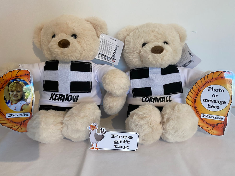Thumbnail: CORNWALL KERNOW PERSONALISED TEDDY BEAR PHOTO MESSAGE FLAT PASTY