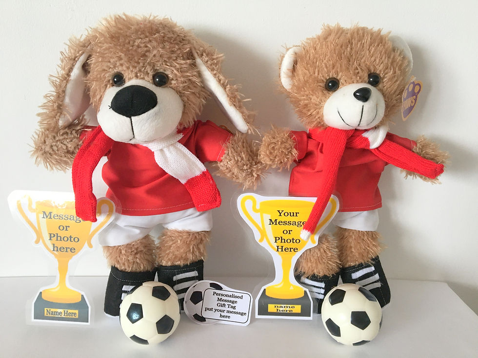 Thumbnail: ARSENAL PERSONALISED TEDDY BEAR / PUPPY DOG FLAT TROPHY WITH M