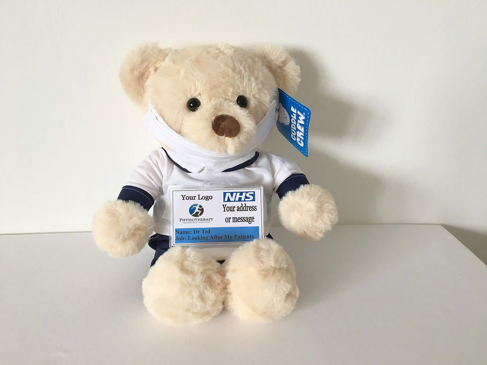 Thumbnail: PHYSIOTHERAPIST PERSONALISED TEDDY BEAR