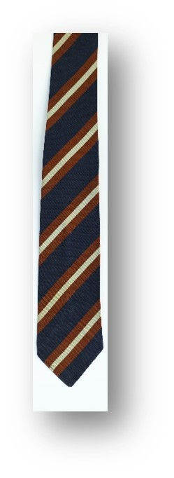 University College Hospital (London) Dental Student Society