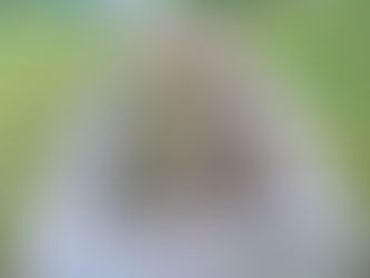 The Life Stages of Gardening