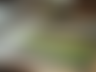 How to Identify Hidden Value in Football Programmes