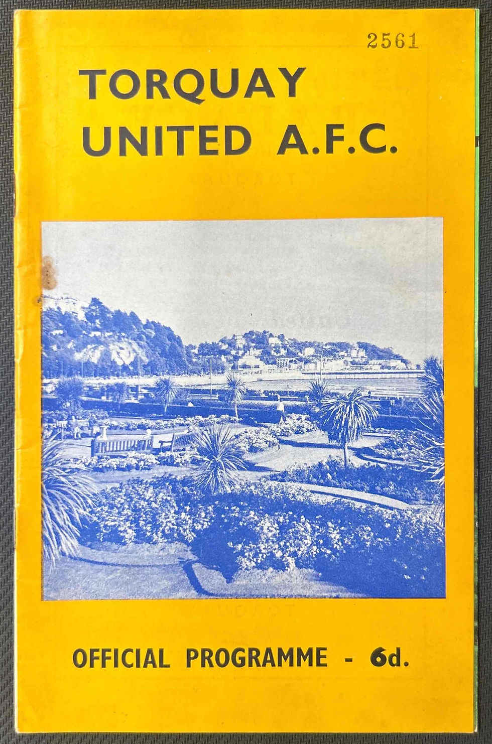 Torquay Football Programme