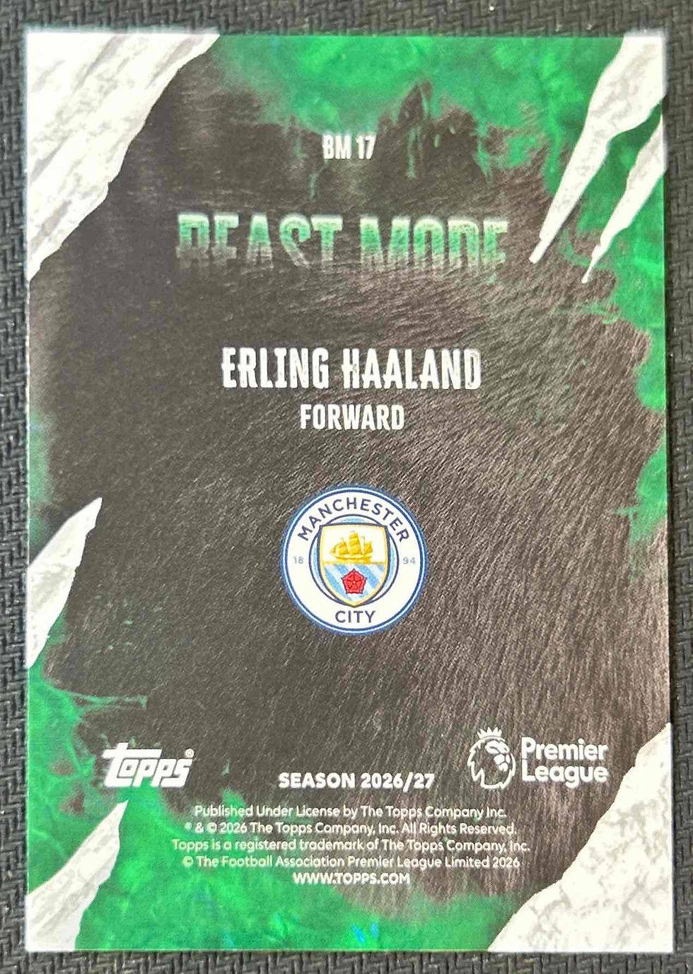 Thumbnail: Haaland, Erling - Man City