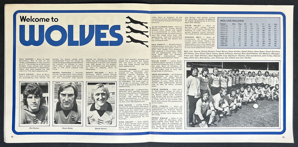 1976 Feb 17 Ipswich V Wolves