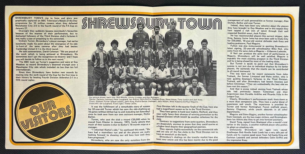 Thumbnail: Wolves V Shrewsbury