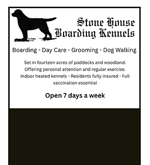 IN THE KNOW Website profiles (6).png