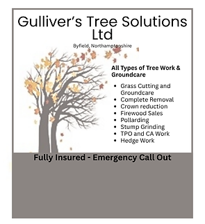 IN THE KNOW Website profiles (7).png