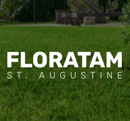Types of Sod - Floratam.png