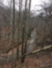 Gun Deer Rut Nov 12th- Nov16th