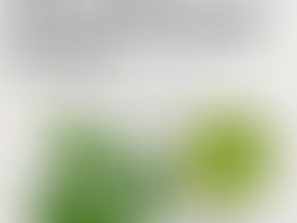 L-Theanine: From Tea Leaf to Trending Supplement – Does the Science Match the Hype?