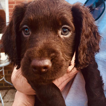 IMG-20220613-WA0015 (2).jpg